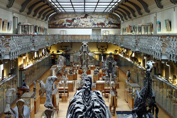Museum of Natural History (Musee d'Histoire Naturelle)